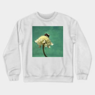 Perfection Crewneck Sweatshirt